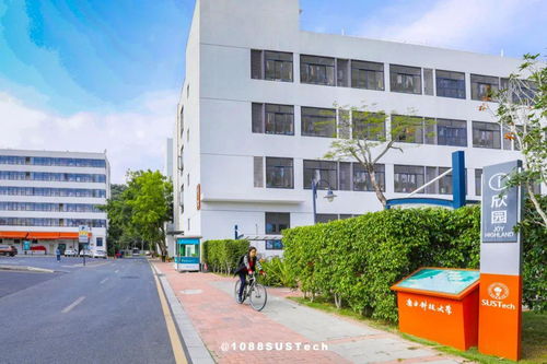 来南山上大学丨你好,南科大 在这里读懂严谨与浪漫