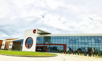 投资5亿,洽洽把新工厂开在了这里