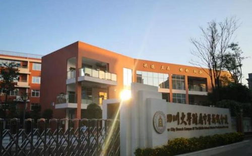 四川大学附属中学新城分校