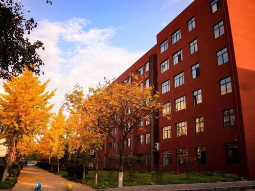 十年春风化雨,明日妙笔生花