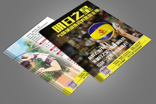 明日之星气排球培训学校暑期招生宣传dm海报